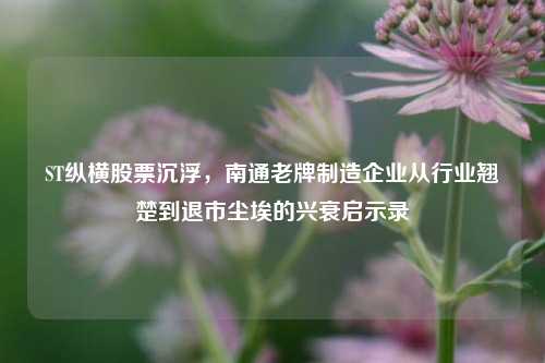 ST纵横股票沉浮,南通老牌制造企业从行业翘楚到退市尘埃的兴衰启示录