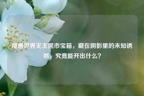 魔兽世界无主黑市宝箱,藏在阴影里的未知诱惑,究竟能开出什么?