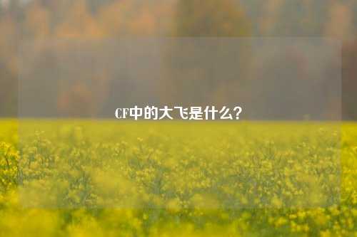 CF中的大飞是什么?