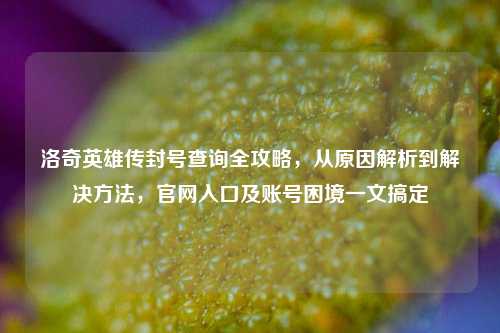 洛奇英雄传封号查询全攻略,从原因解析到解决 *** ,官网入口及账号困境一文搞定