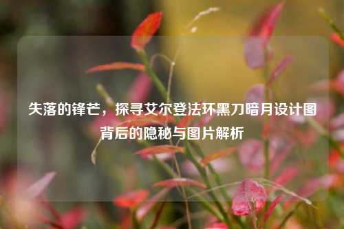 失落的锋芒，探寻艾尔登法环黑刀暗月设计图背后的隐秘与图片解析