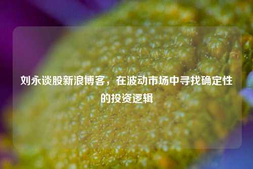刘永谈股新浪博客,在波动市场中寻找确定性的投资逻辑