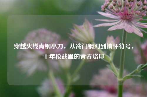 穿越火线青钢小刀,从冷门钢刃到情怀符号,十年枪战里的青春烙印