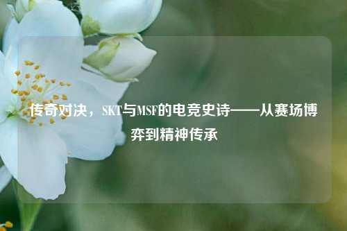 传奇对决,SKT与MSF的电竞史诗——从赛场博弈到精神传承
