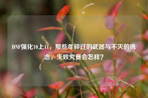 DNF强化10上11，那些年碎过的武器与不灭的执念，失败究竟会怎样？