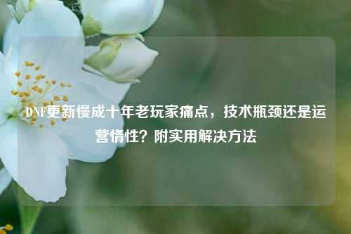 DNF更新慢成十年老玩家痛点,技术瓶颈还是运营惰性?附实用解决 ***