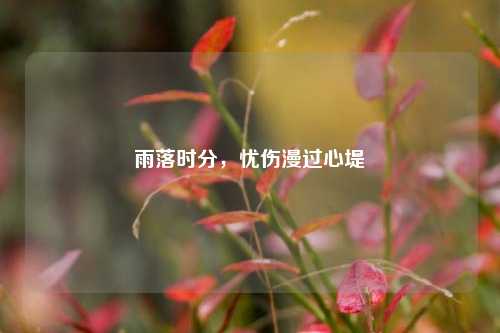 雨落时分,忧伤漫过心堤