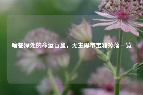 暗巷深处的命运盲盒,无主黑市宝箱掉落一览