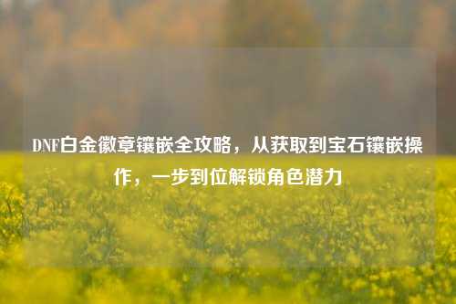 DNF白金徽章镶嵌全攻略，从获取到宝石镶嵌操作，一步到位解锁角色潜力