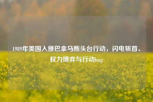 1989年美国入侵巴拿马断头台行动，闪电斩首、权力博弈与行动bug