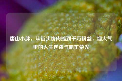 唐山小胖,从街头烤肉摊到千万粉丝,烟火气里的人生逆袭与跑车荣光