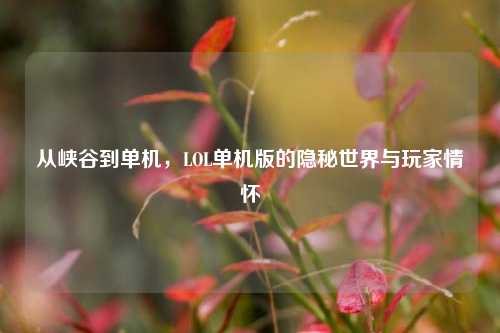 从峡谷到单机，LOL单机版的隐秘世界与玩家情怀