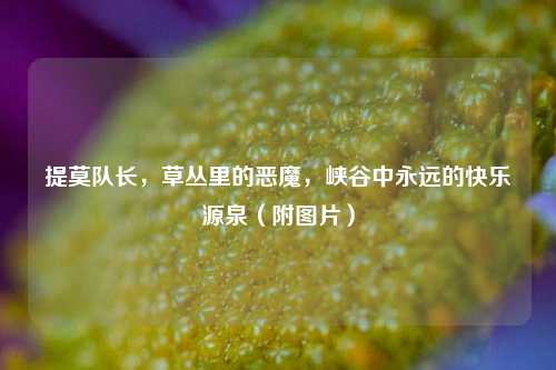 提莫队长,草丛里的恶魔,峡谷中永远的快乐源泉(附图片)