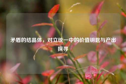 矛盾的结晶体，对立统一中的价值钥匙与产出探寻