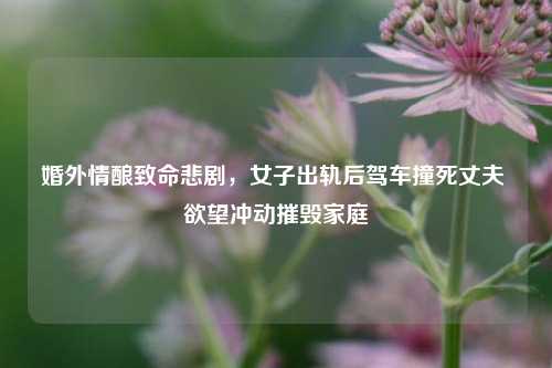 婚外情酿致命悲剧,女子出轨后驾车撞死丈夫 欲望冲动摧毁家庭
