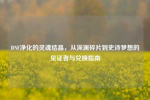 DNF净化的灵魂结晶,从深渊碎片到史诗梦想的见证者与兑换指南