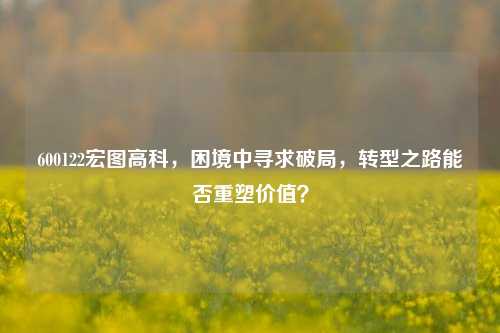 600122宏图高科,困境中寻求破局,转型之路能否重塑价值?