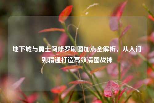 地下城与勇士阿修罗刷图加点全解析,从入门到精通打造高效清图战神