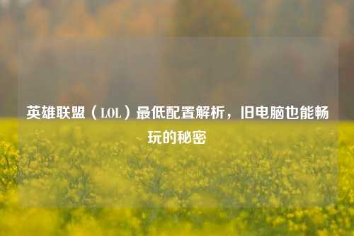 英雄联盟(LOL)更低配置解析,旧电脑也能畅玩的秘密