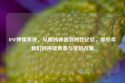 DNF押镖系统,从搬砖神器到时代记忆,那些年我们的押镖青春与奖励改版
