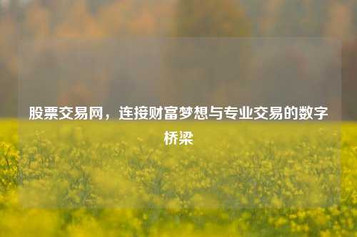股票交易网，连接财富梦想与专业交易的数字桥梁