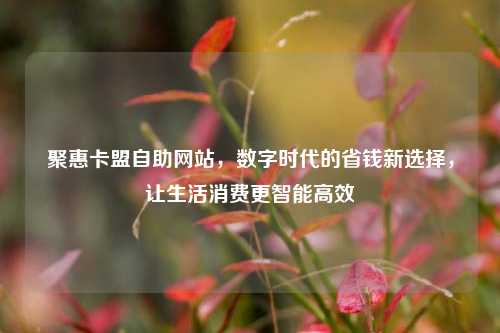 聚惠卡盟自助网站，数字时代的省钱新选择，让生活消费更智能高效