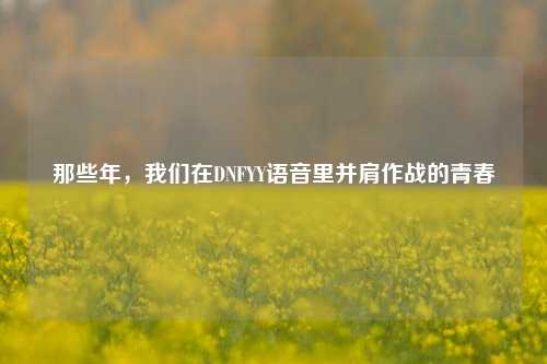 那些年,我们在DNFYY语音里并肩作战的青春