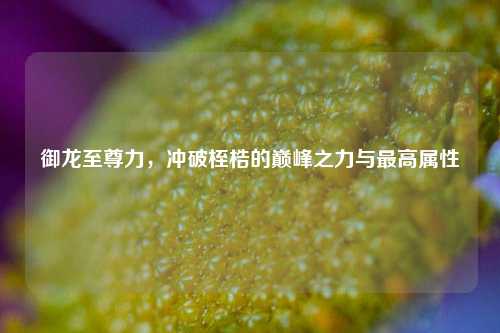 御龙至尊力,冲破桎梏的巅峰之力与更高属性