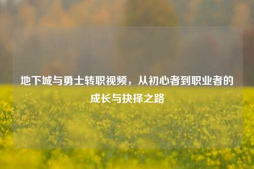 地下城与勇士转职视频,从初心者到职业者的成长与抉择之路