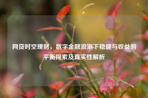 网贷时空理财，数字金融浪潮下稳健与收益的平衡探索及真实性解析