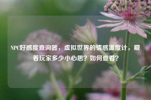 NPC好感度查询器,虚拟世界的情感温度计,藏着玩家多少小心思?如何查看?