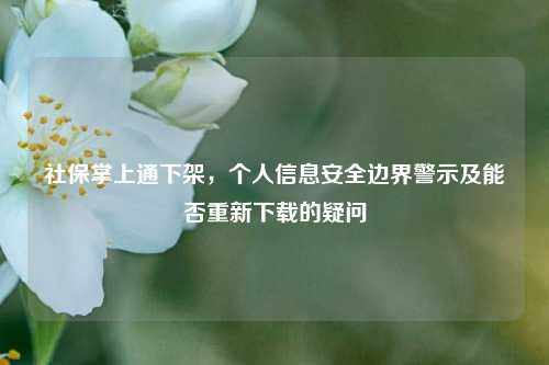 社保掌上通下架，个人信息安全边界警示及能否重新下载的疑问