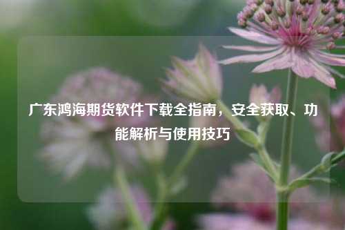 广东鸿海期货软件下载全指南，安全获取、功能解析与使用技巧