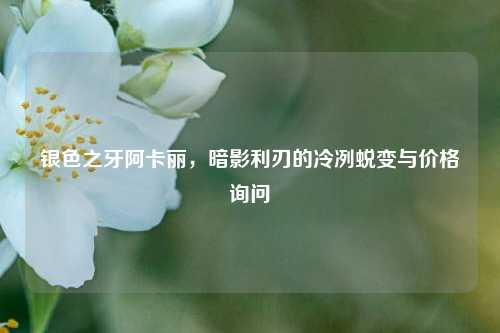 银色之牙阿卡丽，暗影利刃的冷冽蜕变与价格询问