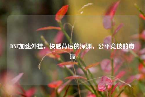 DNF加速外挂, *** 背后的深渊,公平竞技的毒瘤