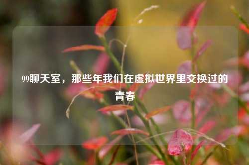 99聊天室,那些年我们在虚拟世界里交换过的青春