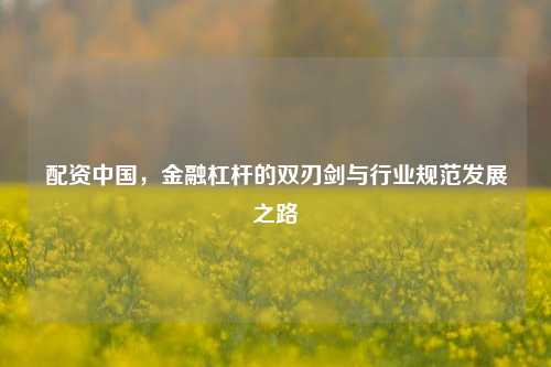配资中国,金融杠杆的双刃剑与行业规范发展之路