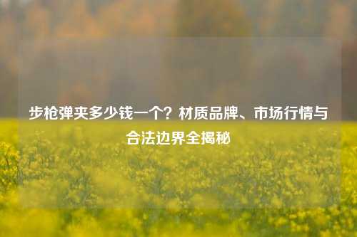 步枪弹夹多少钱一个?材质品牌、市场行情与合法边界全揭秘