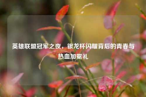 英雄联盟冠军之夜,银龙杯闪耀背后的青春与热血加冕礼