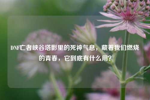 DNF亡者峡谷塔影里的死神气息，藏着我们燃烧的青春，它到底有什么用？