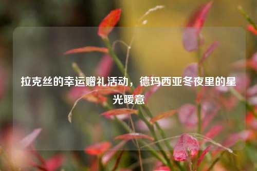 拉克丝的幸运赠礼活动,德玛西亚冬夜里的星光暖意