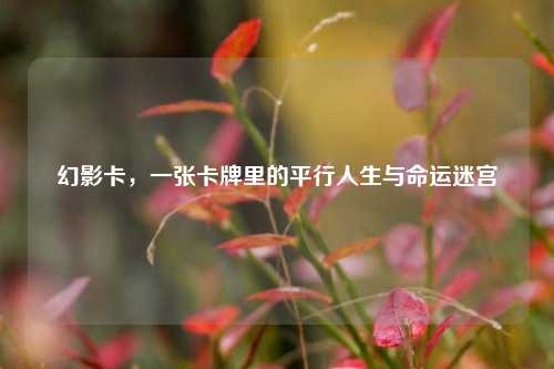 幻影卡,一张卡牌里的平行人生与命运迷宫
