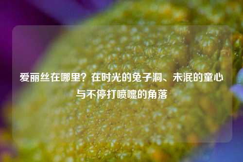 爱丽丝在哪里?在时光的兔子洞、未泯的童心与不停打喷嚏的角落