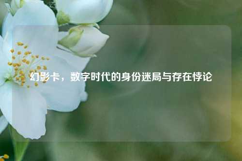 幻影卡，数字时代的身份迷局与存在悖论
