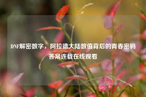 DNF解密数字,阿拉德大陆数值背后的青春密码答案连载在线观看