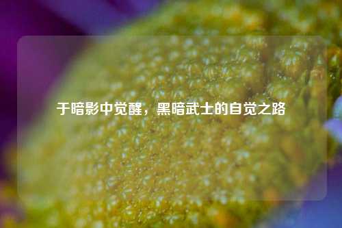 于暗影中觉醒，黑暗武士的自觉之路