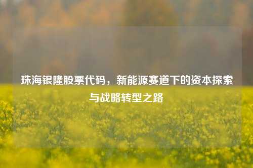 珠海银隆股票代码,新能源赛道下的资本探索与战略转型之路