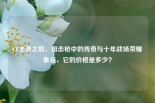 CF王者之怒,狙击枪中的传奇与十年战场荣耀象征,它的价格是多少?
