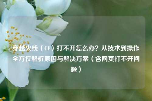 穿越火线(CF)打不开怎么办?从技术到操作全方位解析原因与解决方案(含网页打不开问题)