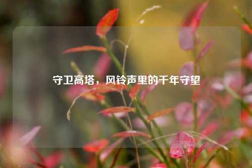 守卫高塔，风 *** 里的千年守望